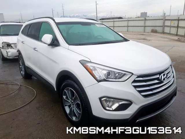 KM8SM4HF3GU153614