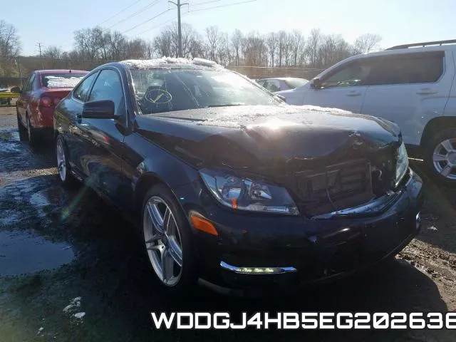 WDDGJ4HB5EG202636