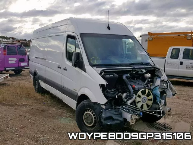 WDYPE8DD9GP315106