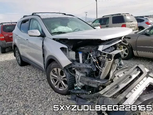 5XYZUDLB6EG228165