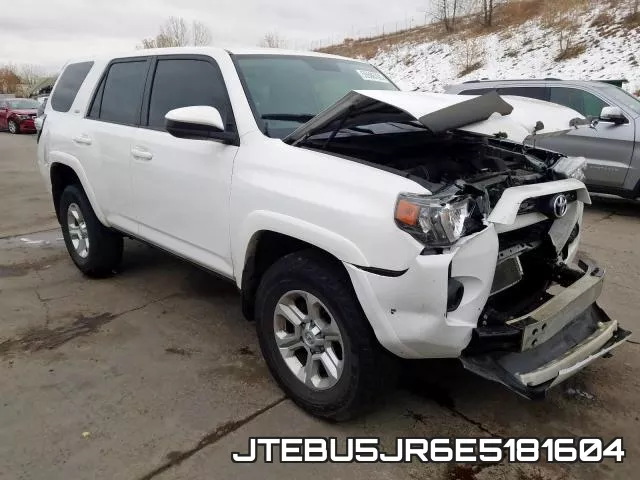 JTEBU5JR6E5181604
