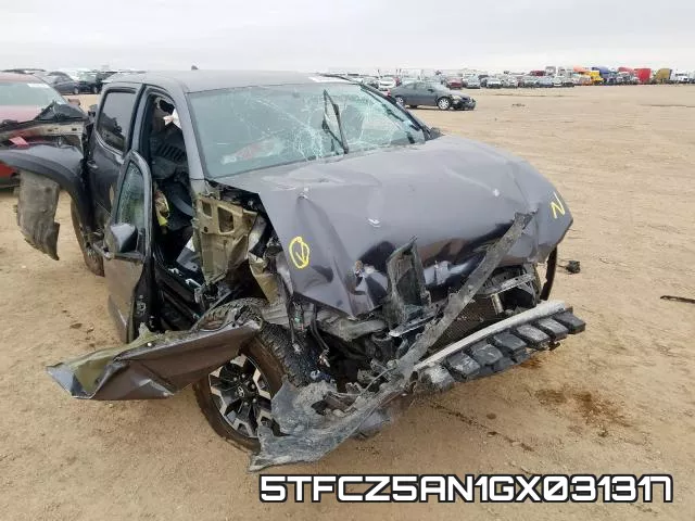 5TFCZ5AN1GX031317