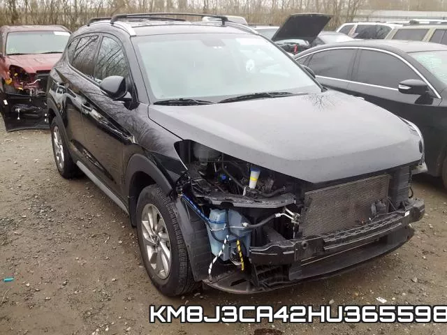KM8J3CA42HU365598_1.webp