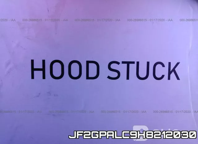 JF2GPALC9H8212030_10.webp