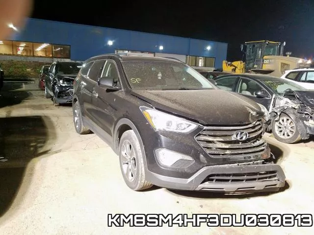 KM8SM4HF3DU030813