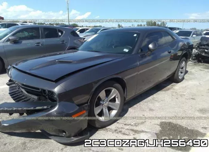 2C3CDZAG1JH256490_2.webp