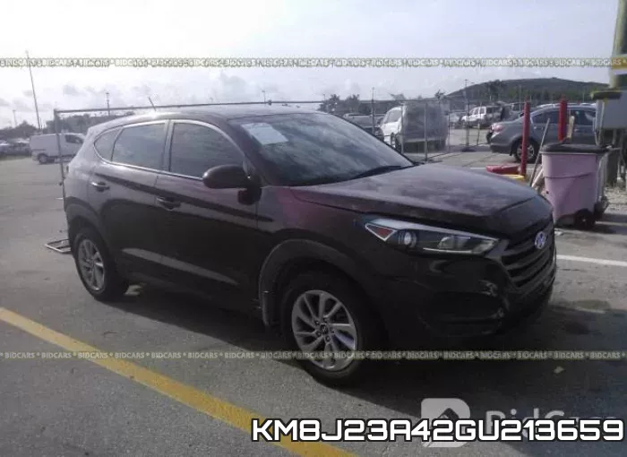 KM8J23A42GU213659