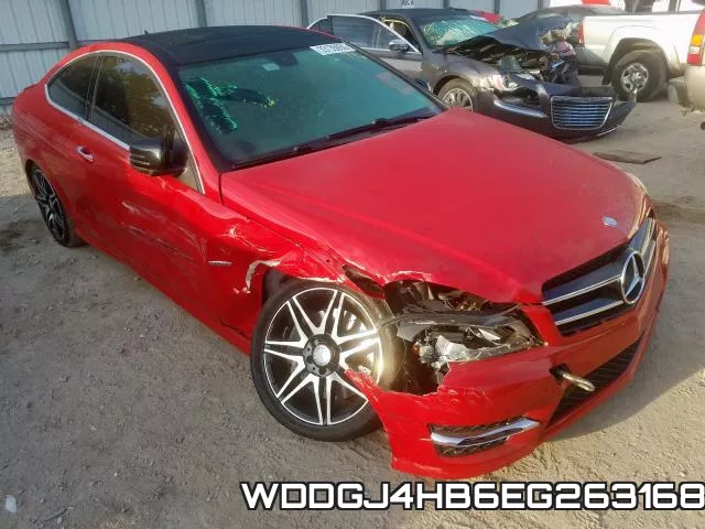 WDDGJ4HB6EG263168