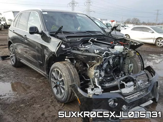 5UXKR0C5XJL075731_1.webp
