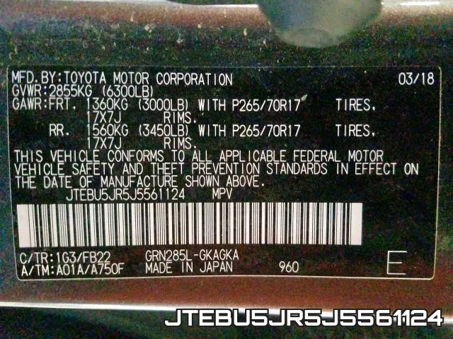 JTEBU5JR5J5561124_10.webp