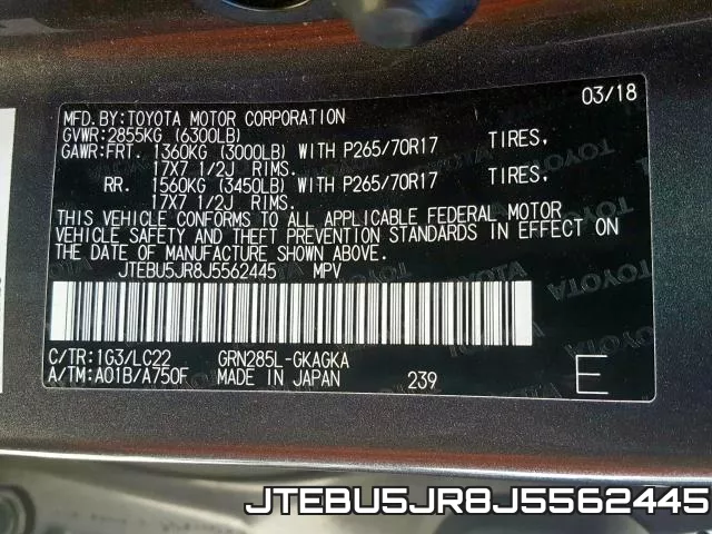 JTEBU5JR8J5562445_10.webp
