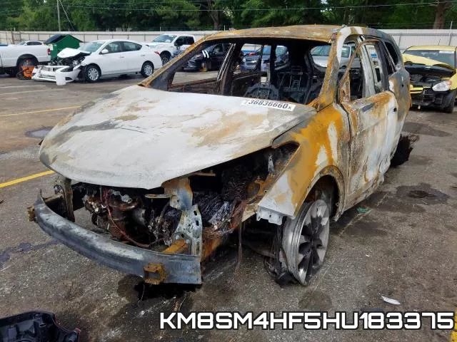 KM8SM4HF5HU183375_2.webp