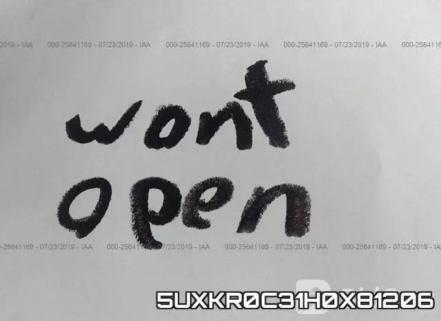 5UXKR0C31H0X81206_10.webp