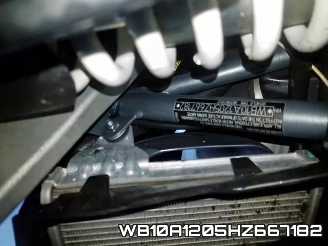 WB10A1205HZ667182_10.webp