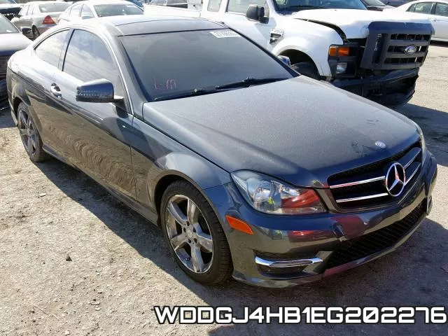 WDDGJ4HB1EG202276