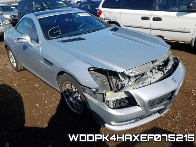 WDDPK4HAXEF075215