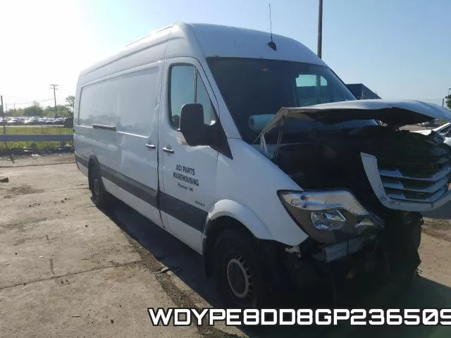 WDYPE8DD8GP236509
