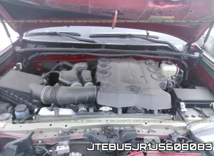 JTEBU5JR1J5608083_10.webp