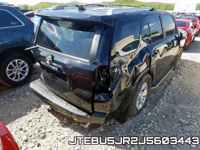 JTEBU5JR2J5603443_4.webp