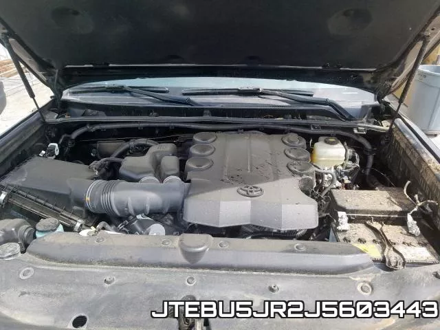 JTEBU5JR2J5603443_7.webp
