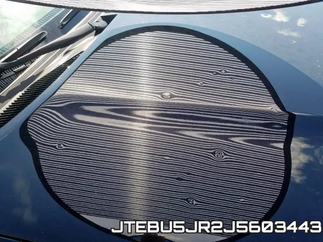 JTEBU5JR2J5603443_9.webp