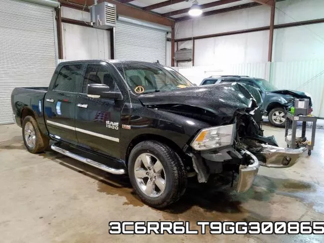 3C6RR6LT9GG300865