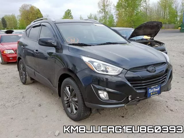 KM8JUCAG1EU860393