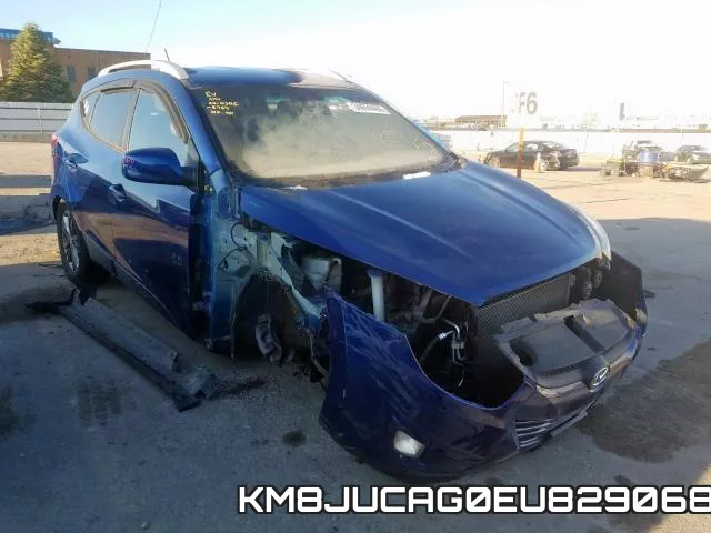 KM8JUCAG0EU829068