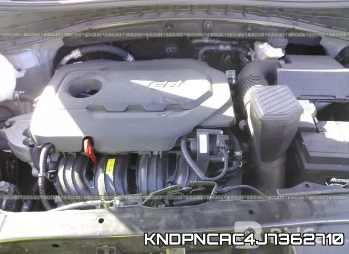 KNDPNCAC4J7362710_10.webp