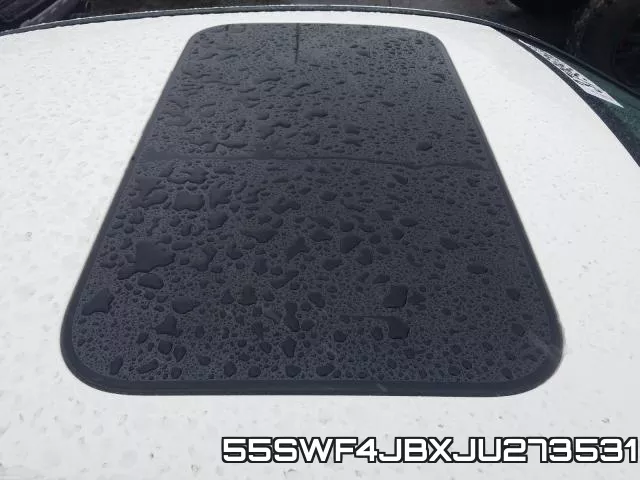 55SWF4JBXJU273531_9.webp
