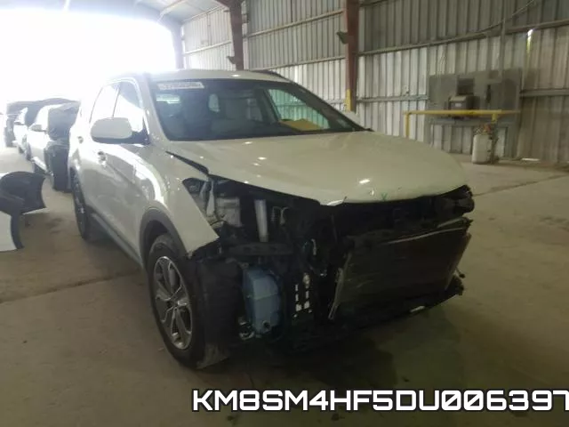 KM8SM4HF5DU006397