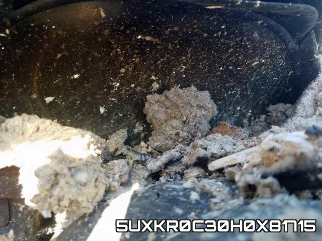5UXKR0C30H0X81715
