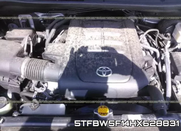 5TFBW5F14HX628831_10.webp