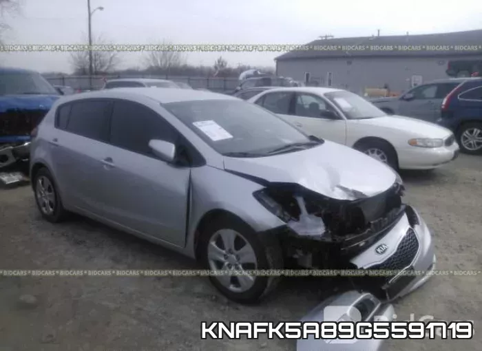 KNAFK5A89G5591719