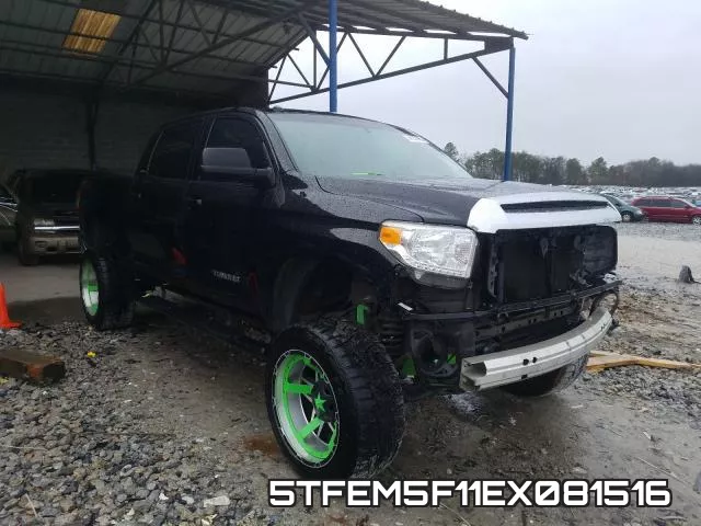 5TFEM5F11EX081516