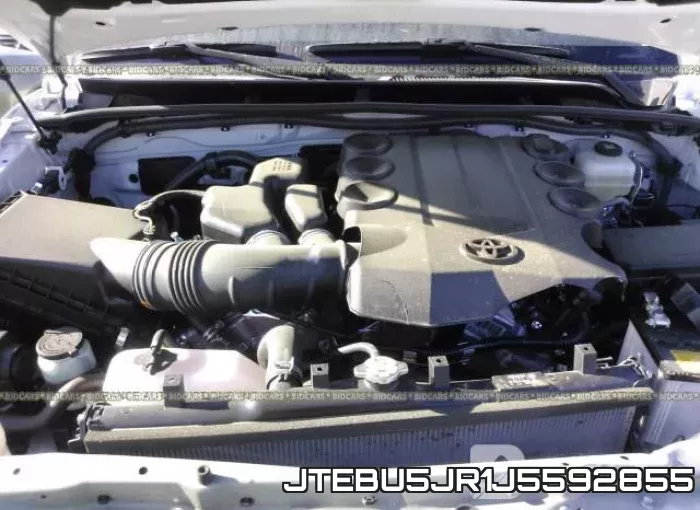 JTEBU5JR1J5592855_10.webp