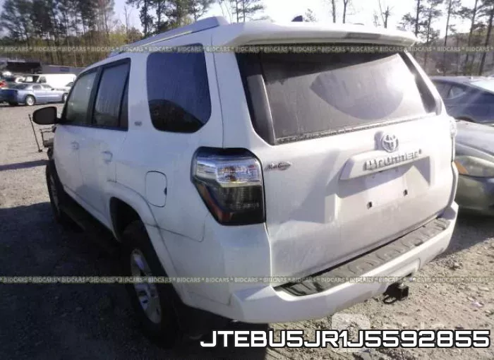 JTEBU5JR1J5592855_3.webp