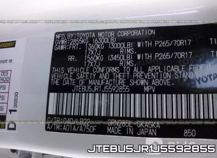 JTEBU5JR1J5592855_9.webp