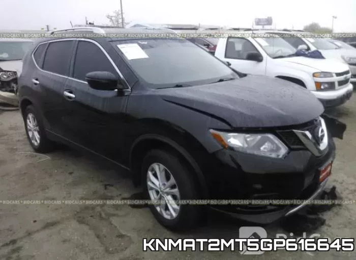 KNMAT2MT5GP616645