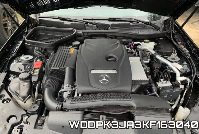 WDDPK3JA3KF163040_7.webp
