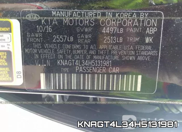 KNAGT4L34H5131981_9.webp