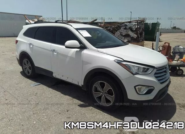 KM8SM4HF3DU024218