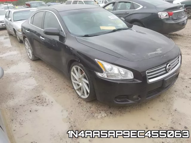 1N4AA5AP9EC455063
