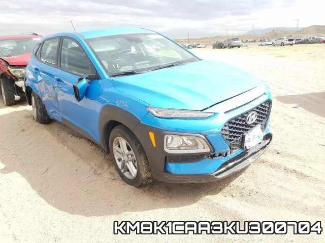 KM8K1CAA3KU300704