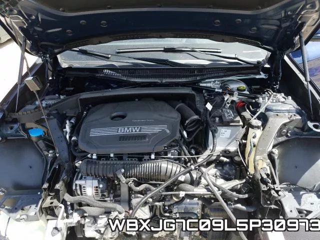 WBXJG7C09L5P30973