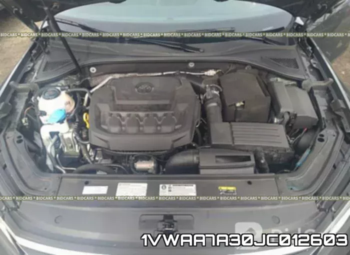 1VWAA7A30JC012603_10.webp