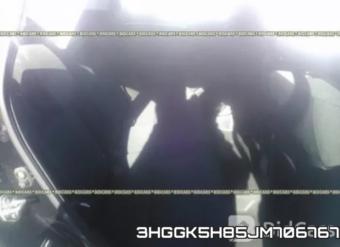 3HGGK5H85JM706767_8.webp