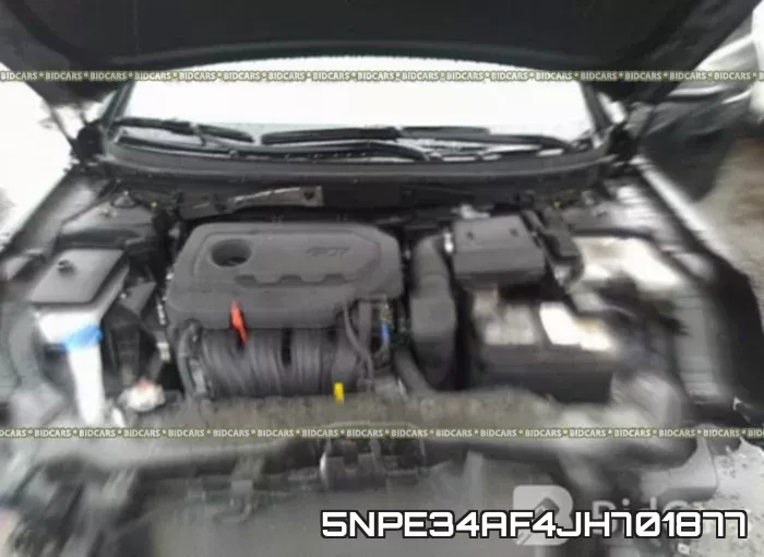 5NPE34AF4JH701877_10.webp