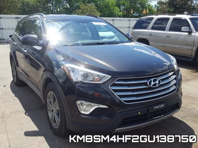 KM8SM4HF2GU138750