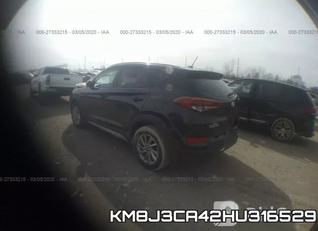 KM8J3CA42HU316529_3.webp